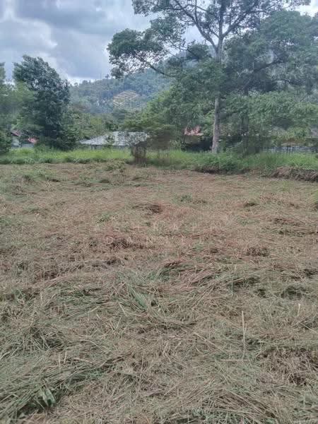 Agricultural Land for Sale in Pekan Batu 18 (Hulu Langat) - Ashraff Daniel - Exterior - PropertyGuru.com.my