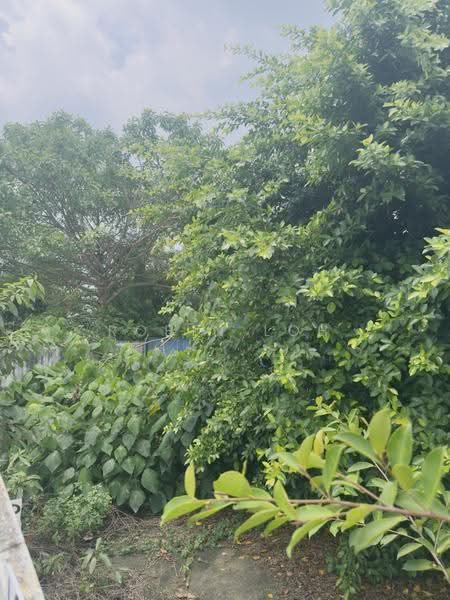 1-storey Terraced House for Sale in Taman Puchong Indah (Puchong) - Robin Loh - Exterior - PropertyGuru.com.my