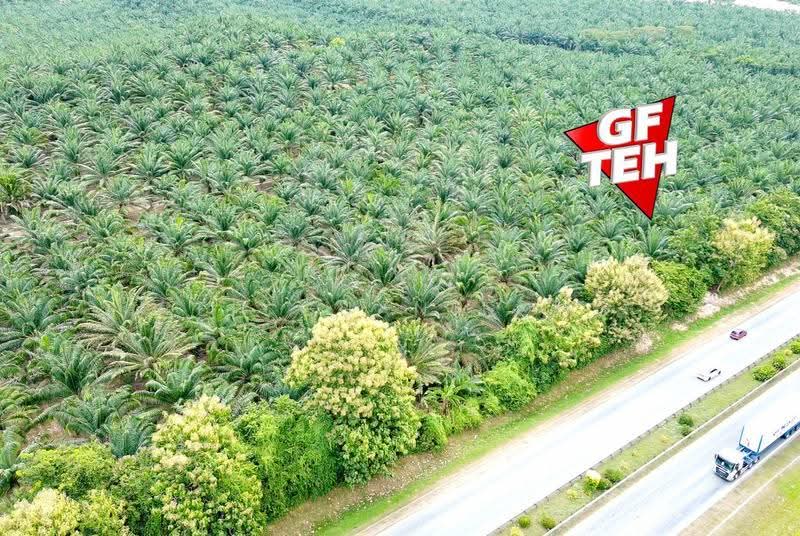 Residential Land for Sale in Napoh (Kedah) - Teh Guan Fong - PropertyGuru.com.my