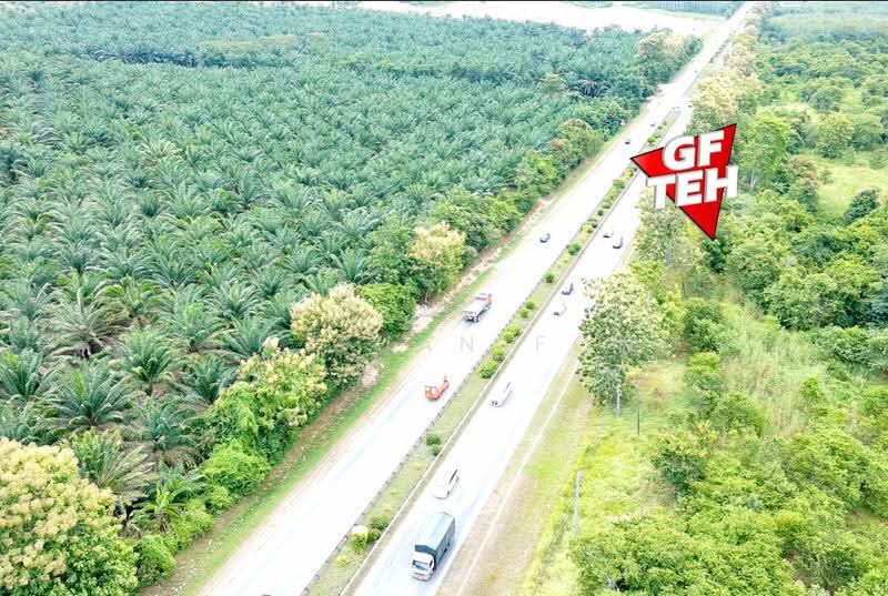 Residential Land for Sale in Napoh (Kedah) - Teh Guan Fong - PropertyGuru.com.my