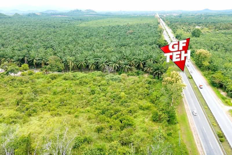 Residential Land for Sale in Napoh (Kedah) - Teh Guan Fong - PropertyGuru.com.my