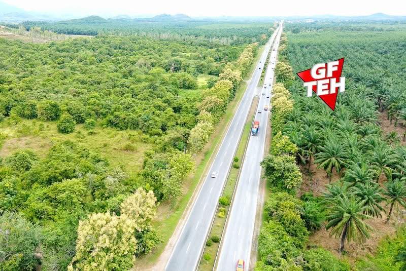 Residential Land for Sale in Napoh (Kedah) - Teh Guan Fong - PropertyGuru.com.my