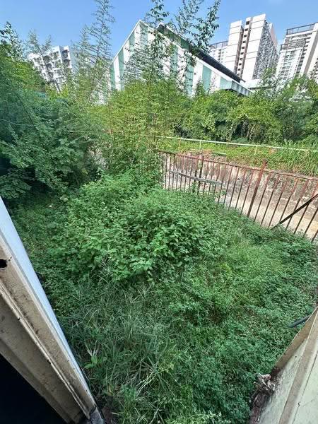 Semi-Detached House for Sale in Bayan Lepas (Penang) - Freddy Tan - PropertyGuru.com.my