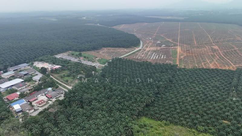 Tanah Pertanian untuk Dijual di Kota Kecil (Kota Tinggi) - Max Loh - PropertyGuru.com.my