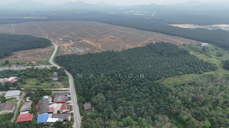 Tanah Pertanian untuk Dijual di Kota Kecil (Kota Tinggi) - Max Loh - PropertyGuru.com.my