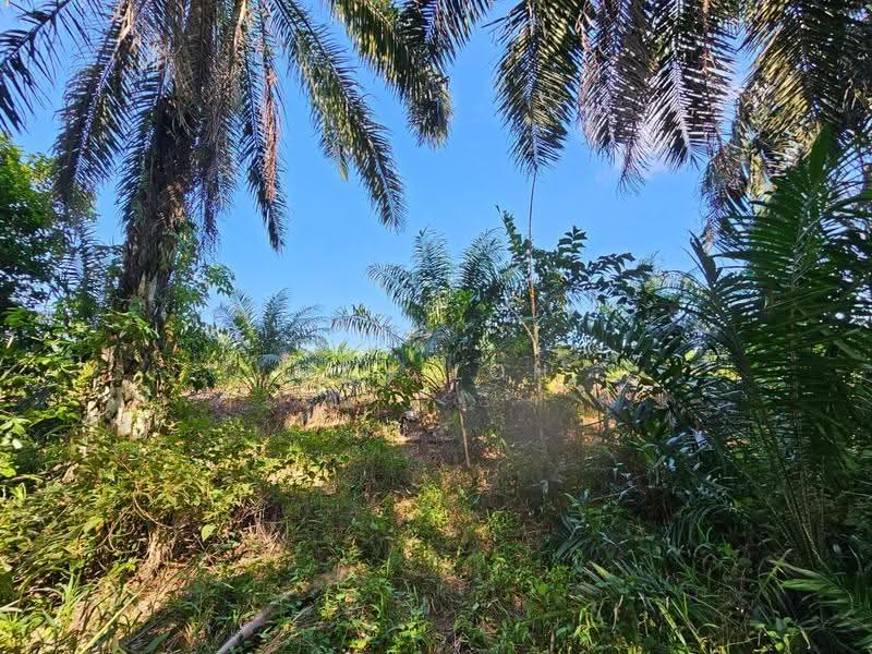Tanah Pertanian untuk Dijual di Kota Kecil (Kota Tinggi) - Max Loh - PropertyGuru.com.my