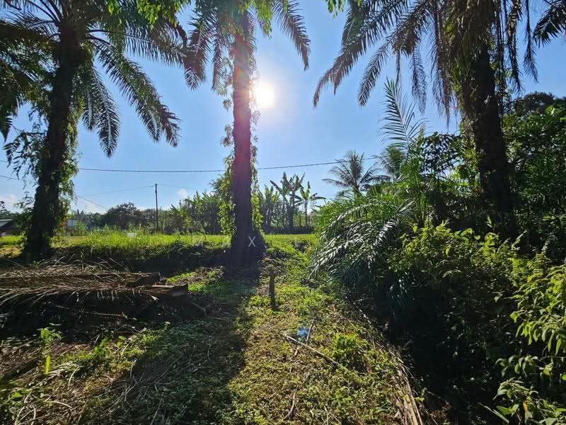 Tanah Pertanian untuk Dijual di Kota Kecil (Kota Tinggi) - Max Loh - Exterior - PropertyGuru.com.my