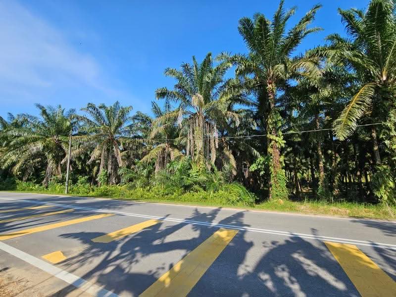 Tanah Pertanian untuk Dijual di Kota Kecil (Kota Tinggi) - Max Loh - Exterior - PropertyGuru.com.my
