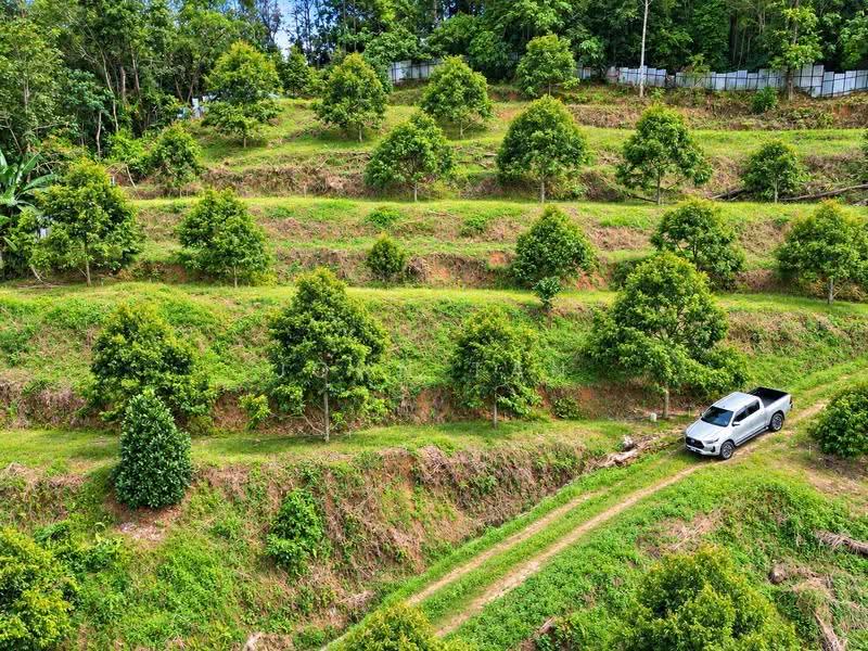 Agricultural Land for Sale in Mantin (Negeri Sembilan) - John Tan - PropertyGuru.com.my