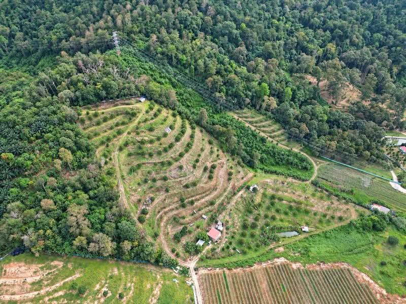 Agricultural Land for Sale in Mantin (Negeri Sembilan) - John Tan - Exterior - PropertyGuru.com.my