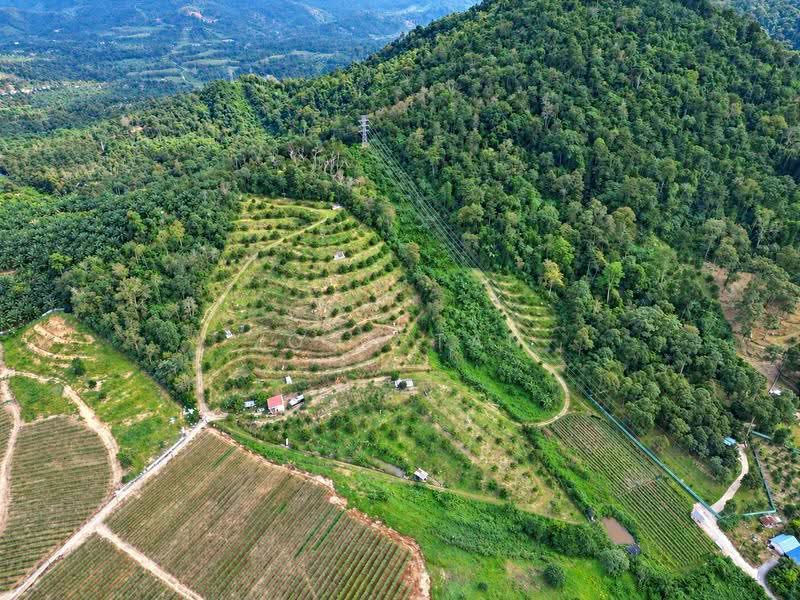 Agricultural Land for Sale in Mantin (Negeri Sembilan) - John Tan - Exterior - PropertyGuru.com.my