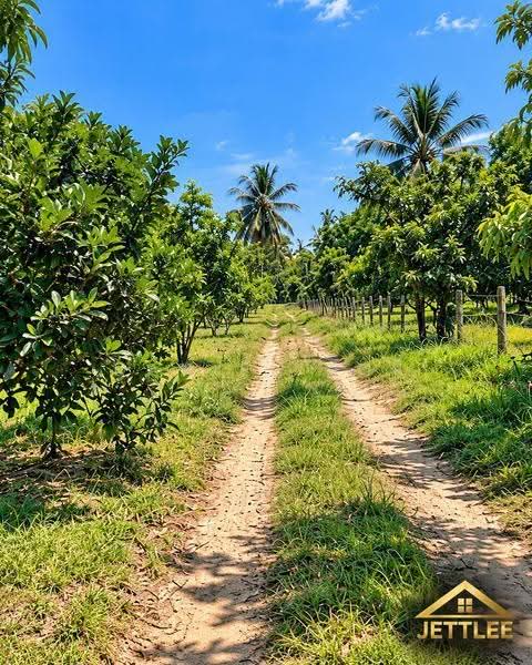 Agricultural Land for Sale in Kampung Bukit Belimbing (Kuala Selangor) - Daniel Kok - Exterior - PropertyGuru.com.my