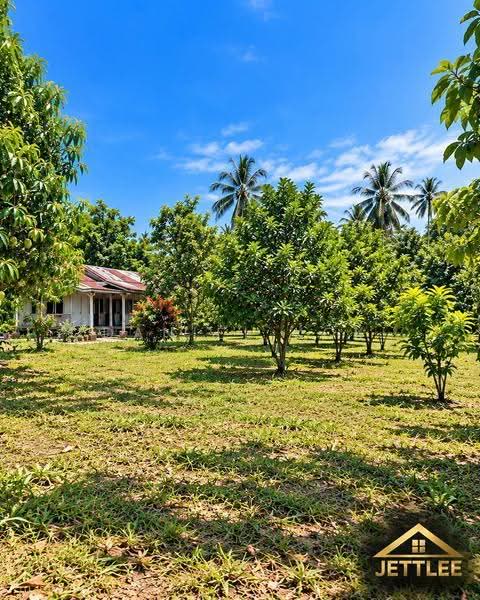 Agricultural Land for Sale in Kampung Bukit Belimbing (Kuala Selangor) - Daniel Kok - Exterior - PropertyGuru.com.my