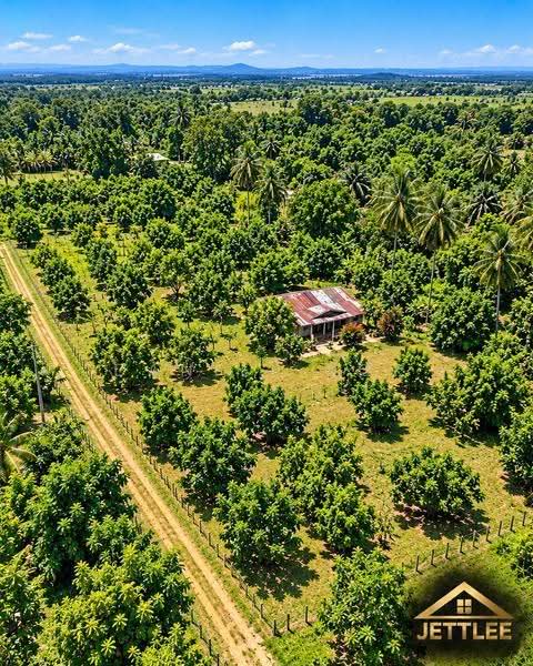 Agricultural Land for Sale in Kampung Bukit Belimbing (Kuala Selangor) - Daniel Kok - Exterior - PropertyGuru.com.my