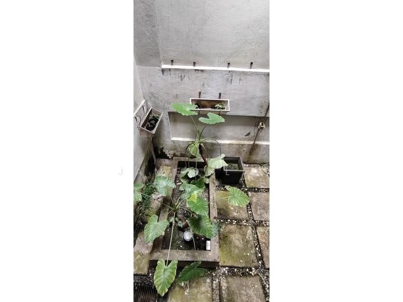 Townhouse for Sale in Bangsar (Kuala Lumpur) - James Law - Air well in the center court yard - PropertyGuru.com.my