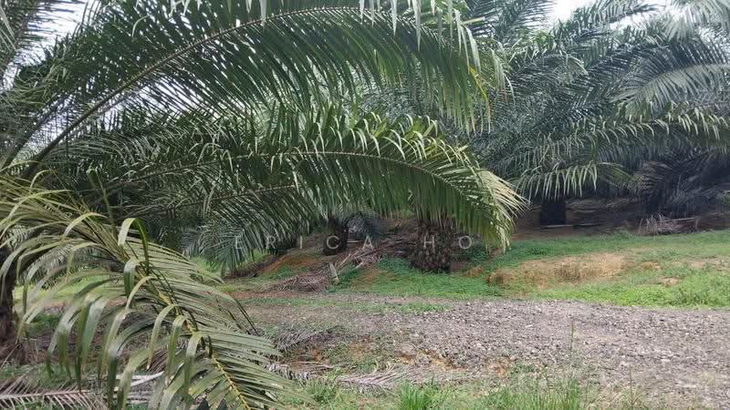 Tanah Pertanian untuk Dijual di Taman Nusantara Prima (Gelang Patah) - Erica Ho - PropertyGuru.com.my