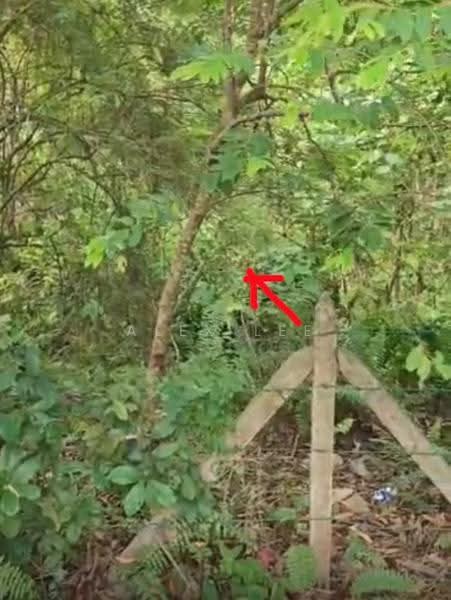 Residential Land for Sale in Kajang (Selangor) - Alex Lee - PropertyGuru.com.my