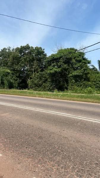 Tanah Komersial untuk Dijual di Muadzam Shah (Keratong) - Shaiful Rudy - PropertyGuru.com.my