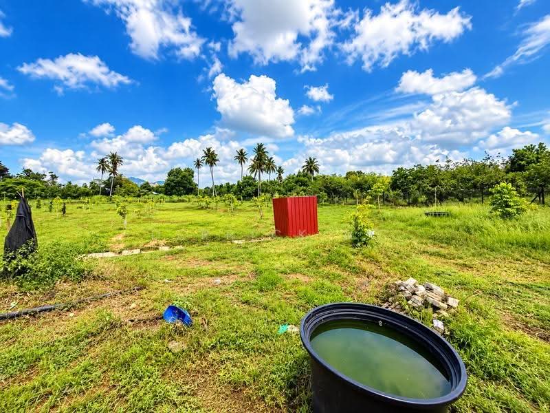 Agricultural Land for Sale in Chuping (Perlis) - Derrick Ng - Garden - PropertyGuru.com.my