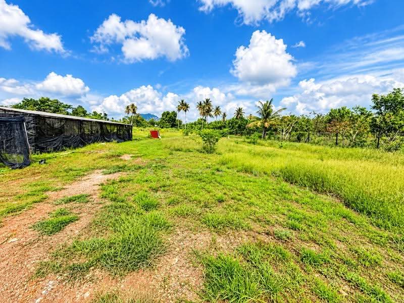 Agricultural Land for Sale in Chuping (Perlis) - Derrick Ng - Exterior - PropertyGuru.com.my