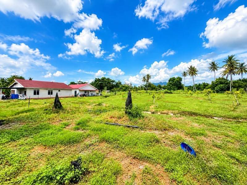 Agricultural Land for Sale in Chuping (Perlis) - Derrick Ng - Exterior - PropertyGuru.com.my