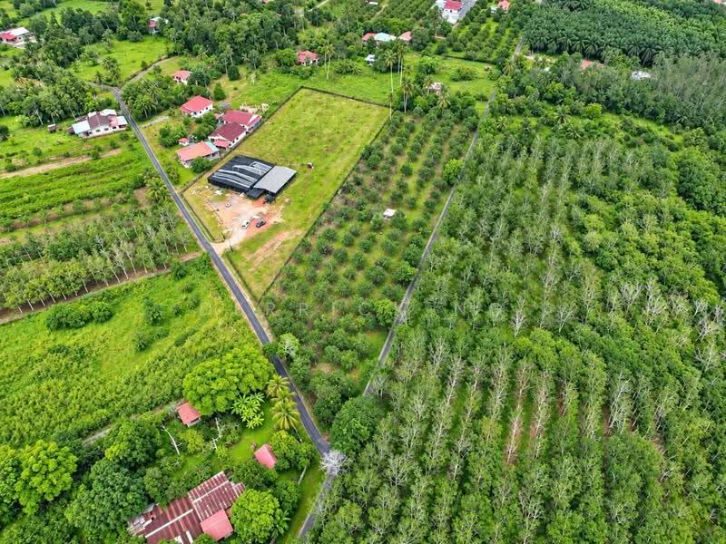 Agricultural Land for Sale in Chuping (Perlis) - Derrick Ng - PropertyGuru.com.my