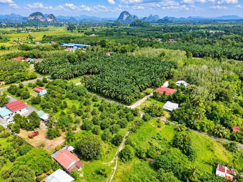 Agricultural Land for Sale in Chuping (Perlis) - Derrick Ng - PropertyGuru.com.my