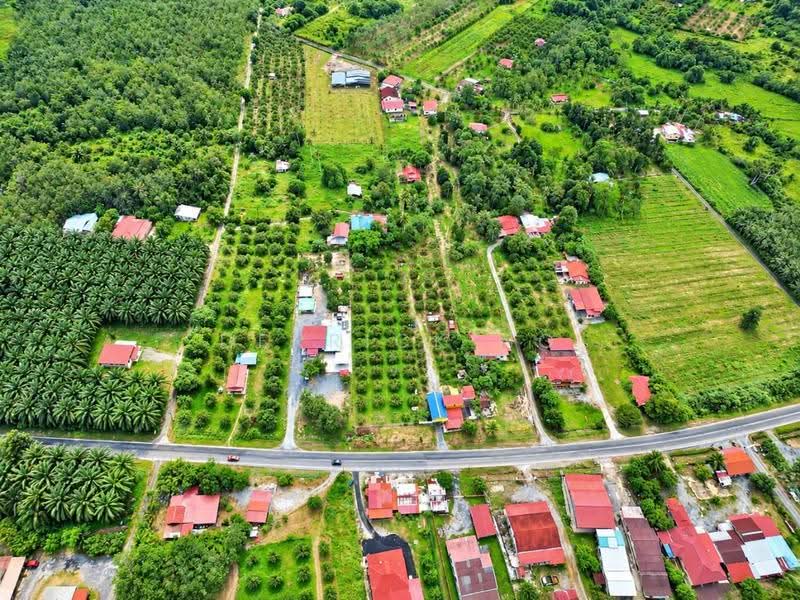 Agricultural Land for Sale in Chuping (Perlis) - Derrick Ng - PropertyGuru.com.my