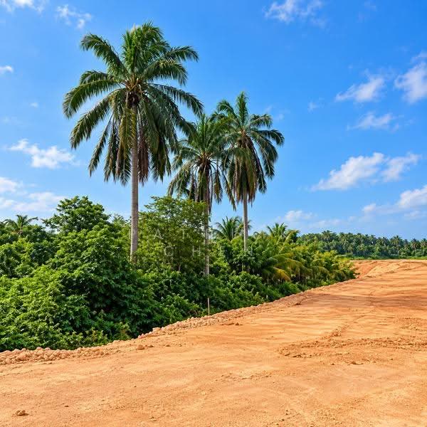 Agricultural Land for Sale in Bandar Sri Sendayan (Negeri Sembilan) - Patrick Chen - Exterior - PropertyGuru.com.my