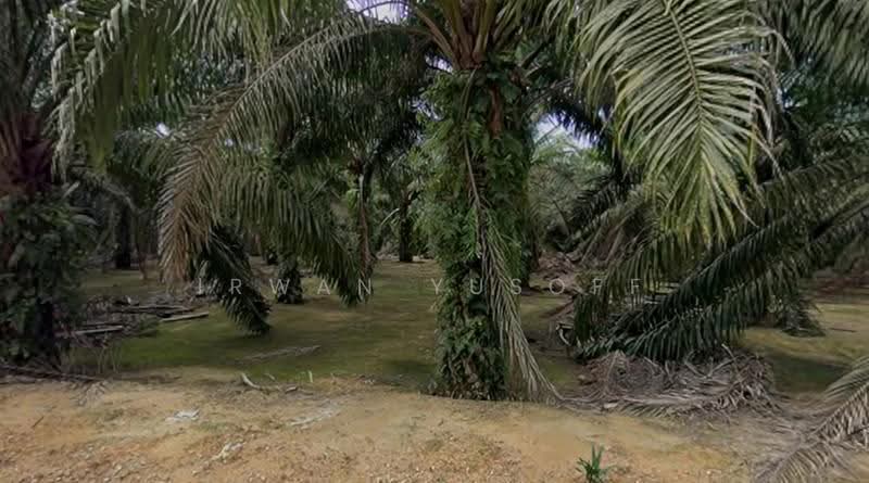 Tanah Perindustrian untuk Dijual di Jasin (Melaka) - Irwan Yusoff - Exterior - PropertyGuru.com.my