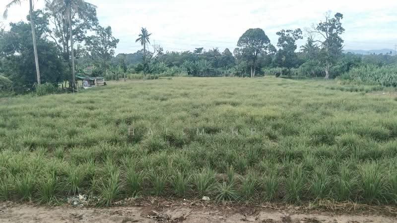 Agricultural Land for Sale in Seremban (Negeri Sembilan) - Halim HP - PropertyGuru.com.my