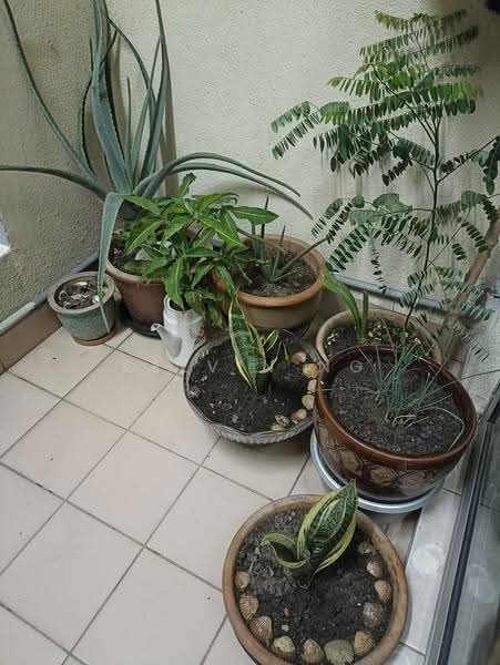 Condominium for Rent at D'Aman Ria Condominium - Kelvin Ng - Balcony - PropertyGuru.com.my