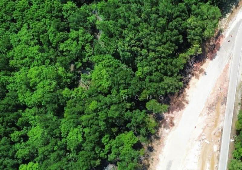 Industrial Land for Sale in Pasir Gudang (Johor) - C.T Chong - PropertyGuru.com.my