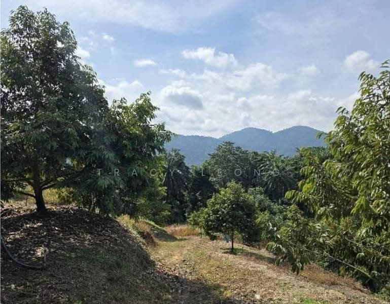 Agricultural Land for Sale in Kampung Sungai Pening (Hulu Semenyih) - Tracy Leong - PropertyGuru.com.my