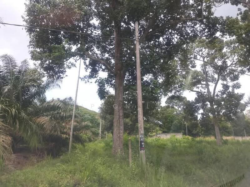 Tanah Perindustrian untuk Dijual di Kluang (Johor) - Gipson Lay - PropertyGuru.com.my