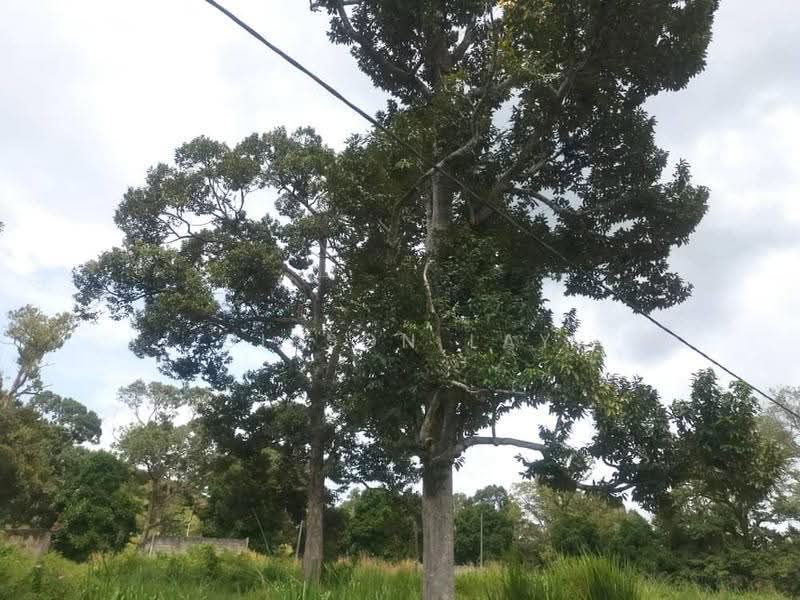 Tanah Perindustrian untuk Dijual di Kluang (Johor) - Gipson Lay - PropertyGuru.com.my