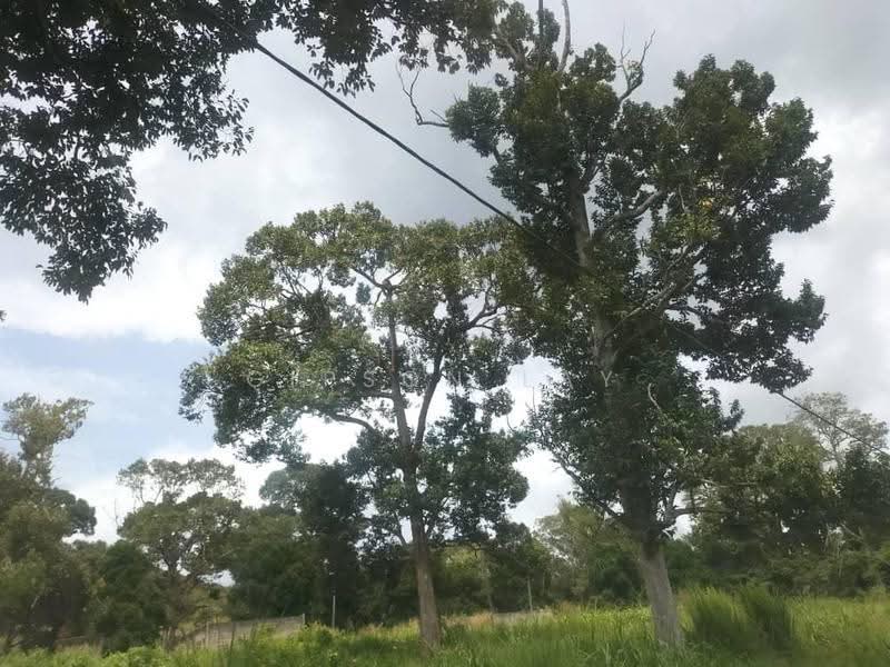 Tanah Perindustrian untuk Dijual di Kluang (Johor) - Gipson Lay - PropertyGuru.com.my