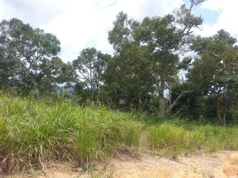 Tanah Perindustrian untuk Dijual di Kluang (Johor) - Gipson Lay - PropertyGuru.com.my