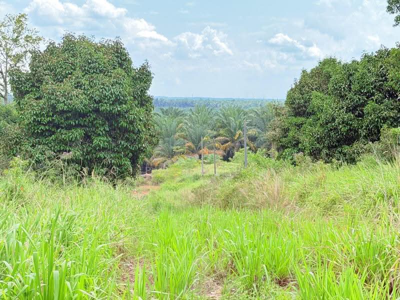 Tanah Perindustrian untuk Dijual di Kluang (Johor) - Gipson Lay - PropertyGuru.com.my