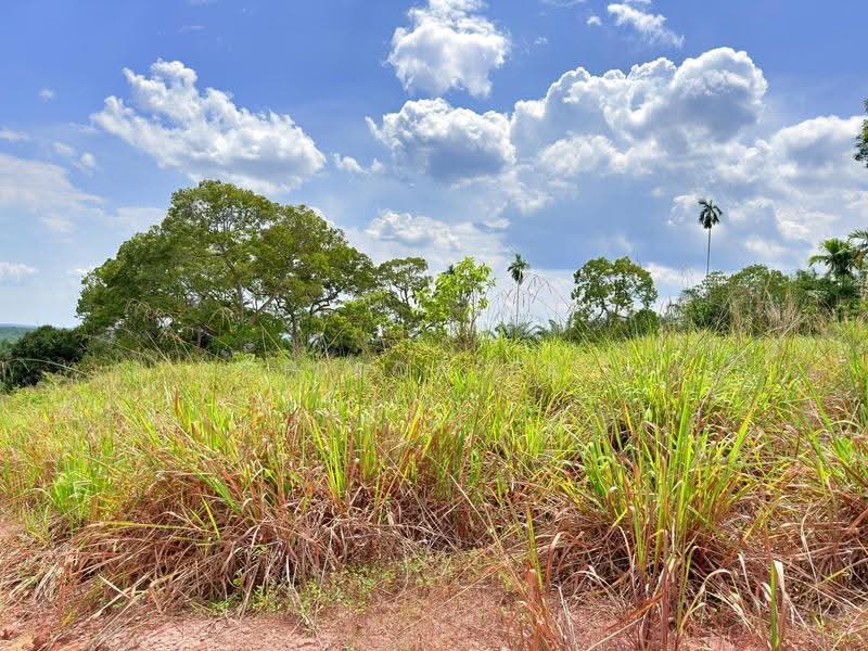 Tanah Perindustrian untuk Dijual di Kluang (Johor) - Gipson Lay - PropertyGuru.com.my