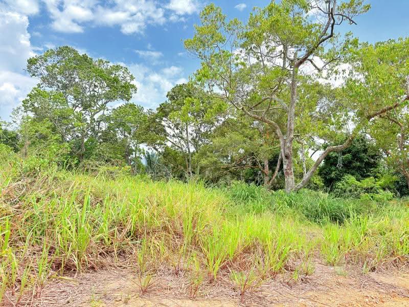 Tanah Perindustrian untuk Dijual di Kluang (Johor) - Gipson Lay - PropertyGuru.com.my