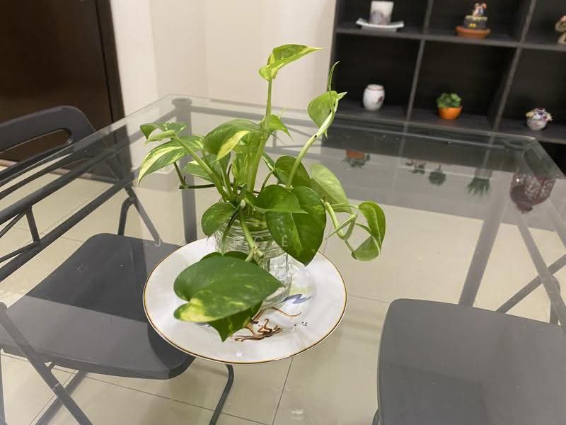 Kediaman Servis untuk Disewa di Serviced Residence @ PJ8 - Janice Low - PropertyGuru.com.my