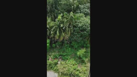 Commercial Land for Sale in Masjid Tanah (Melaka) - Hilmi Ariffin - PropertyGuru.com.my