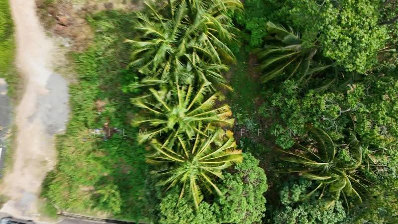 Commercial Land for Sale in Masjid Tanah (Melaka) - Hilmi Ariffin - Exterior - PropertyGuru.com.my