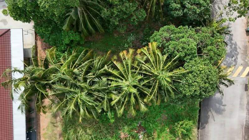 Commercial Land for Sale in Masjid Tanah (Melaka) - Hilmi Ariffin - PropertyGuru.com.my