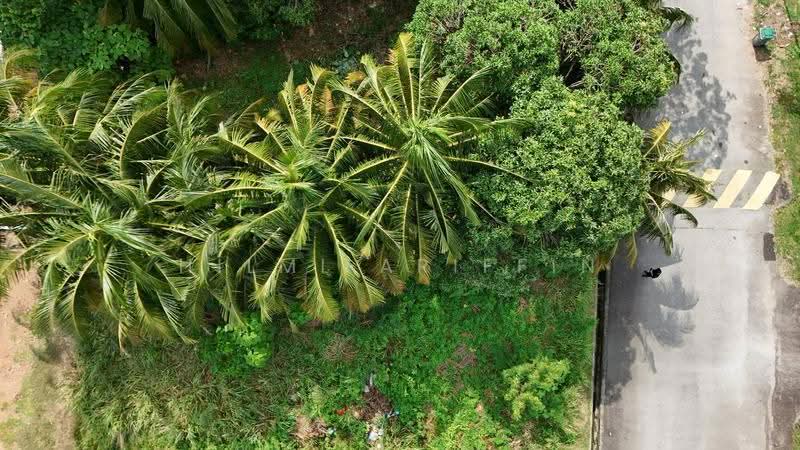 Commercial Land for Sale in Masjid Tanah (Melaka) - Hilmi Ariffin - Exterior - PropertyGuru.com.my