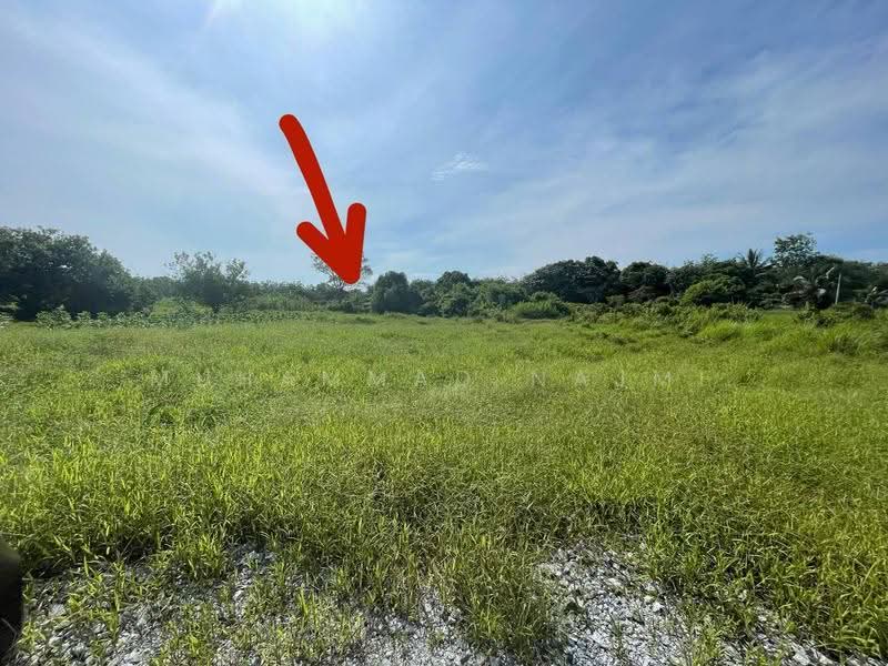 Residential Land for Sale in Bukit Payung (Terengganu) - Muhammad Najmi - PropertyGuru.com.my