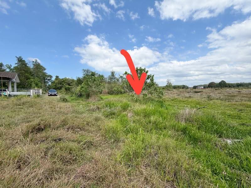 Residential Land for Sale in Kampung Banggol Katong (Serada) - Muhammad Najmi - PropertyGuru.com.my