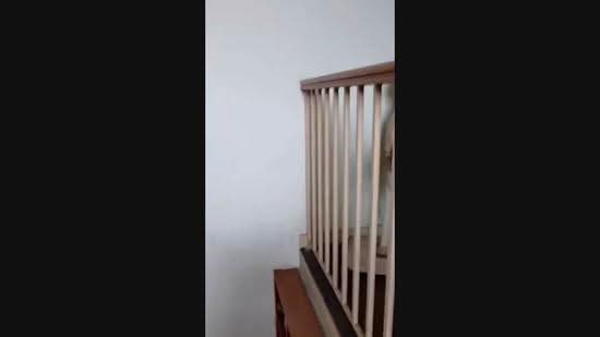 2-storey Terraced House for Sale in Subang Jaya (Selangor) - Baljeet Singh - PropertyGuru.com.my