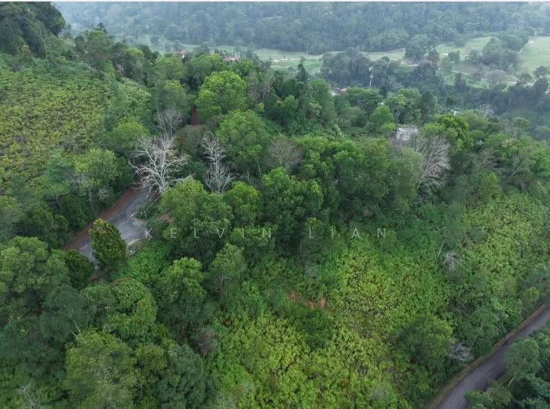 Residential Land for Sale in Bentong (Pahang) - Kelvin Lian - PropertyGuru.com.my